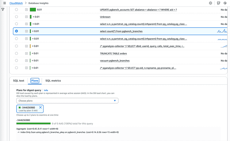 Database Insights Plan Statistics