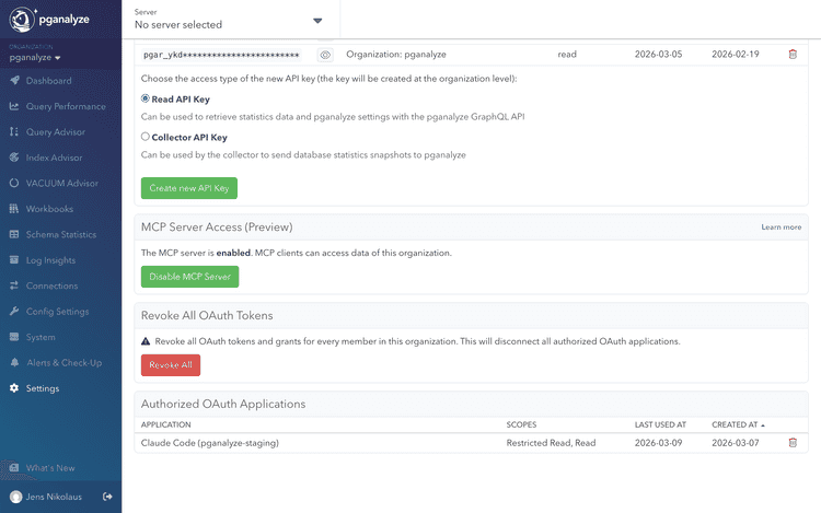 MCP Server Access section in the organization API Access settings, showing an Enable/Disable MCP Server button