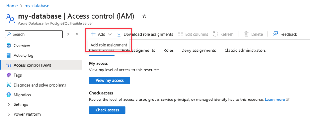 Screenshot of adding role assignment to the DB instance in Azure Portal 1